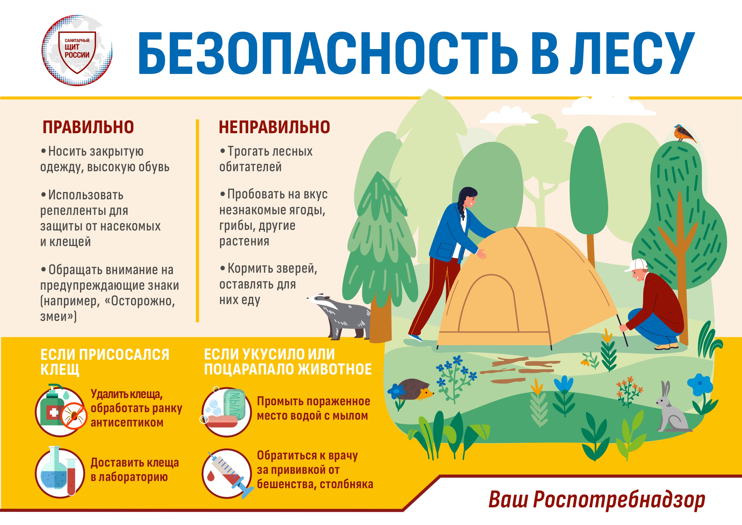 БЕЗОПАСНОСТЬ В ЛЕСУ_page-0001.jpg